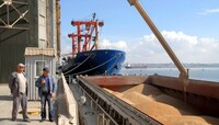 Блокада українського зерна: у Туреччині вважають, що питання близьке до вирішення