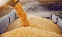 У ЄС вирішили підвищити тарифи на імпорт зерна з рф та Білорусі