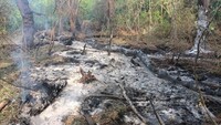 Влада Румунії підтвердила виявлення уламків російського безпілотника