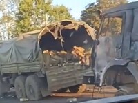 У мережі з'явилося відео військової колони росіян, знищеної у Курській області