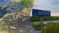 Забруднення Десни вже дісталося Київської області – Держводагентство