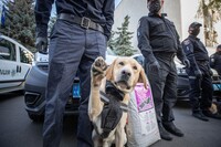 По всій Україні прокотилася хвиля мінувань: у яких містах і де шукають вибухівку