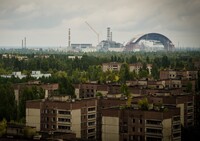 Зона відчуження навколо ЧАЕС: науковий майданчик чи санкціонована сировинна база?