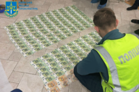 Обшуки в УЗ: викрито групу, яка перепродавала квитки по 300–500 євро
