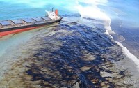 Російські танкери, що затонули в Чорному морі, можуть спричинити екологічну катастрофу – Greenpeace
