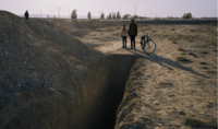 Злочини режиму Асада: у Сирії може бути до 66 місць масових поховань