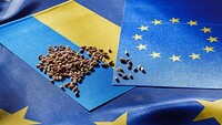 ЗМІ дізналися, як уряд оцінює ймовірні втрати від скасування «торговельного безвізу» з ЄС