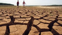 У найближчі п'ять років глобальна температура залишиться на рекордно високому рівні – звіт