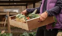 Між Україною та ЄС значно зменшився оборот торгівлі агропродукцією