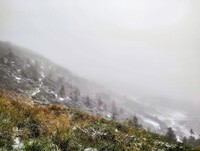 У Карпатах випав сніг наприкінці літа – фото