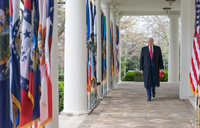 Україна передала США свою відповідь на останній проєкт мирного плану – ЗМІ