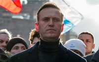 Країни Європи звинуватили владу росії в отруєнні Навального