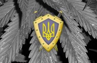 Аваков анонсував створення Департаменту протидії наркозлочинності