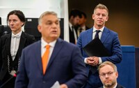 Вибори в Угорщині: опозиційна «Тиса» може отримати дві третини місць у парламенті