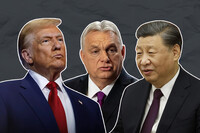 Українська молодь лояльніша до Трампа і Орбана, ніж старше покоління – соцопитування