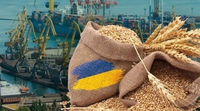 Зеленський відреагував на крадене росією зерно в Ізраїлі та анонсував санкції