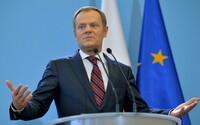 Туск контактуватиме з голландським прем'єром щодо референдуму