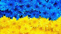 Міносвіти хоче зробити українську мову міжнародною