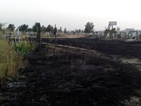 Під Одесою горіло найбільше кладовище України