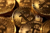 Курс Bitcoin впав до найнижчого рівня з жовтня 2024 року
