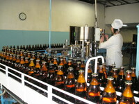 Українські пивовари продовжують скорочувати виробництво