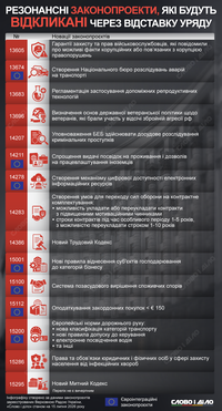 Які законопроєкти відкличуть з Ради через відставку уряду Свириденко
