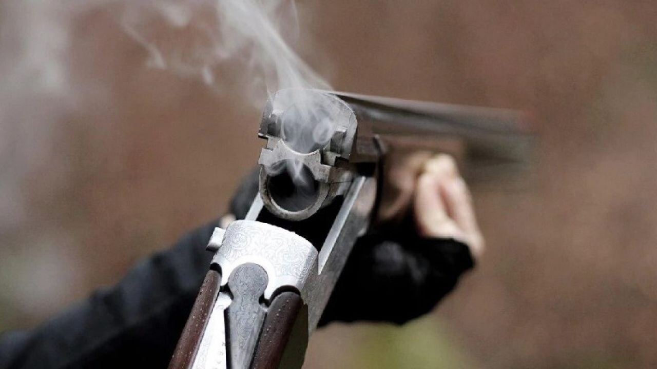 На Буковині чоловік стріляв у поліцейських із рушниці, є поранені (доповнено)