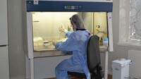 В Україну завезли вакцини від грипу