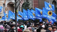 ОБСЄ про мітинг під НБУ: за участь в акції платили по 10 доларів