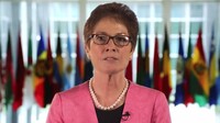 Посол США: Тіллерсон вивчає варіанти участі Америки у врегулюванні ситуації на Донбасі