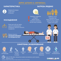 Яких штамів грипу українцям остерігатися в цьому сезоні?