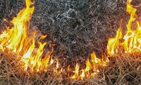 В Україні очікується п'ятий рівень пожежної небезпеки
