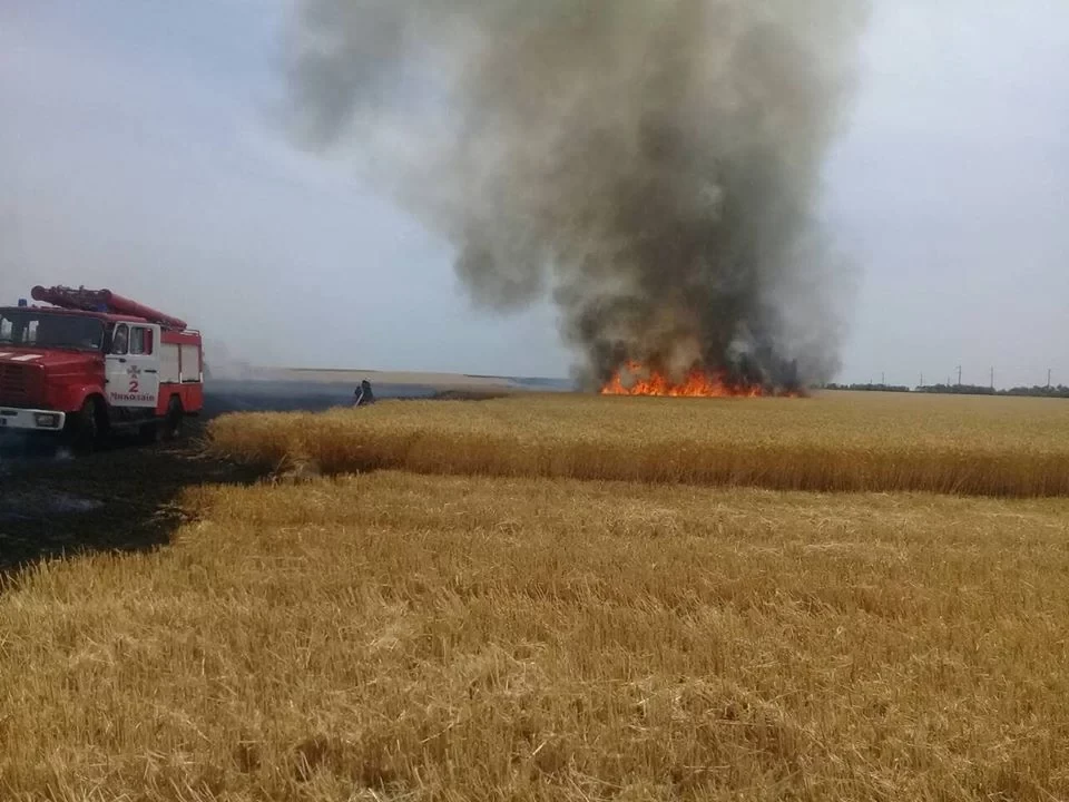 У Миколаївській області пожежа знищила гектари пшениці